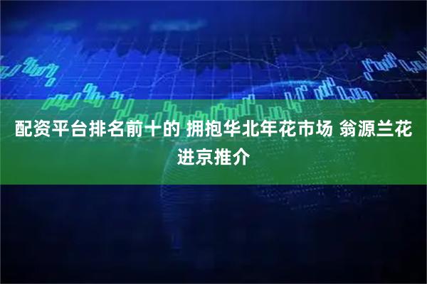 配资平台排名前十的 拥抱华北年花市场 翁源兰花进京推介