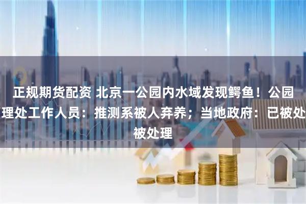 正规期货配资 北京一公园内水域发现鳄鱼！公园管理处工作人员：推测系被人弃养；当地政府：已被处理